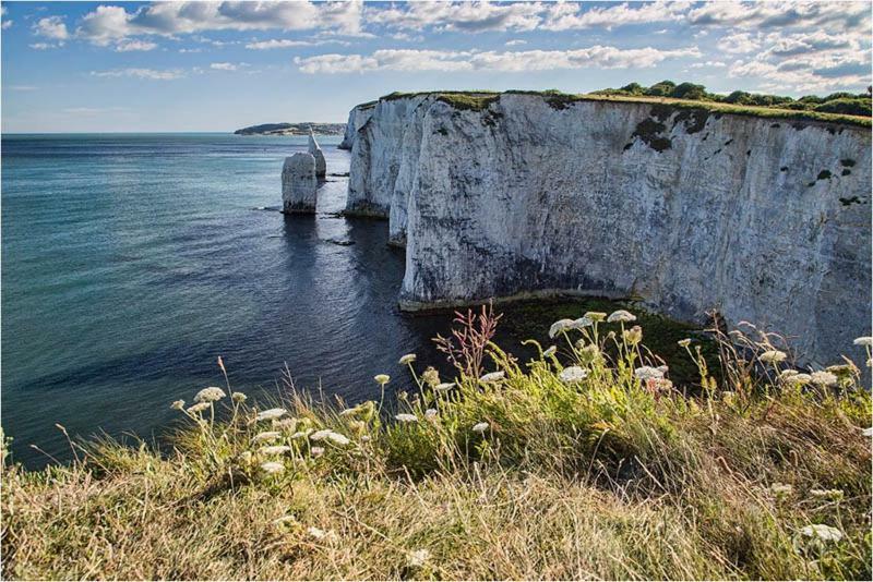 Rambler'S Lodge Swanage Exterior foto